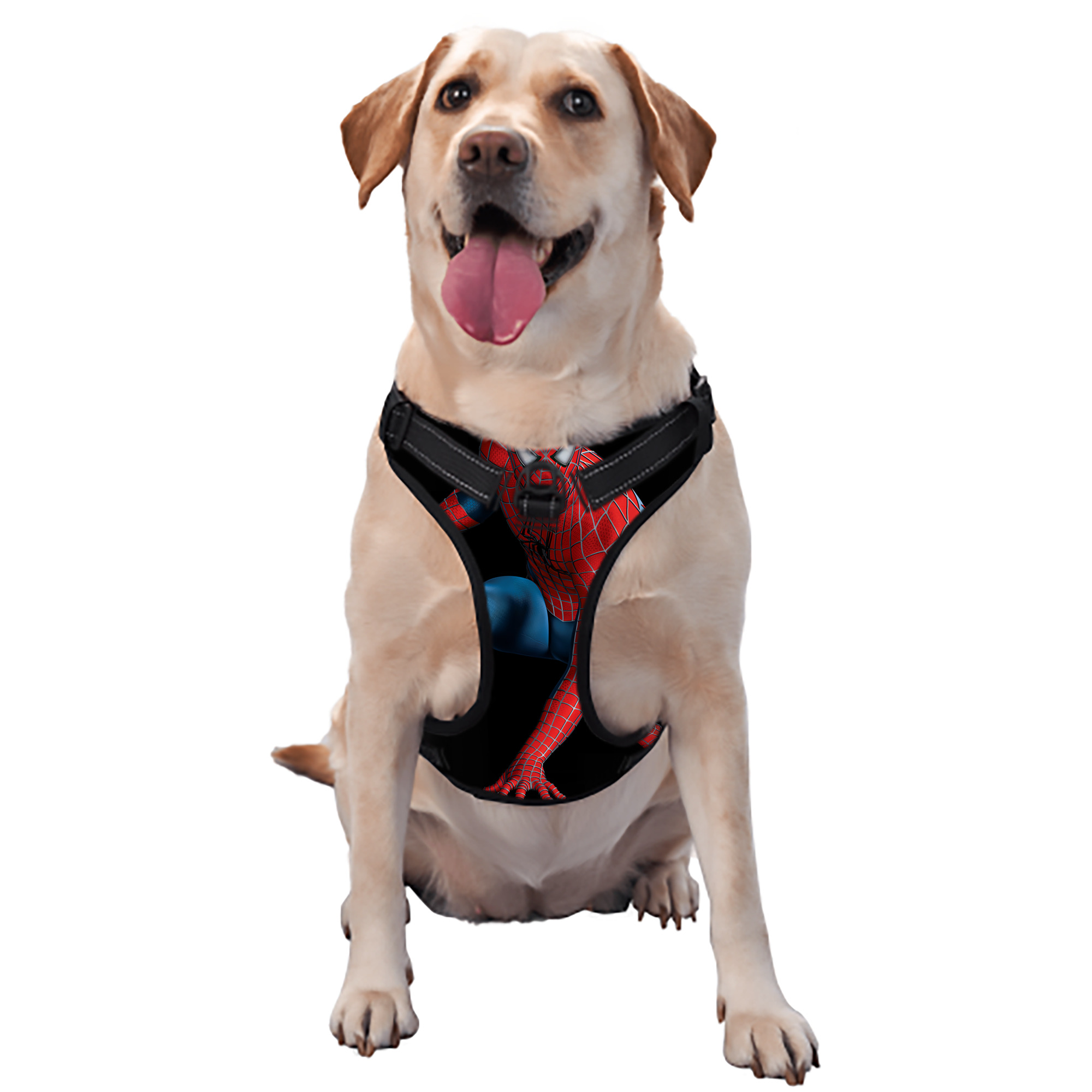 （画像用） Spider Man スパイダーマン ペット用ハーネス